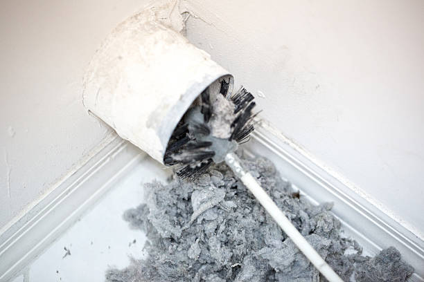 Best Local Air Duct Cleaning Services  in Hughesville, PA
